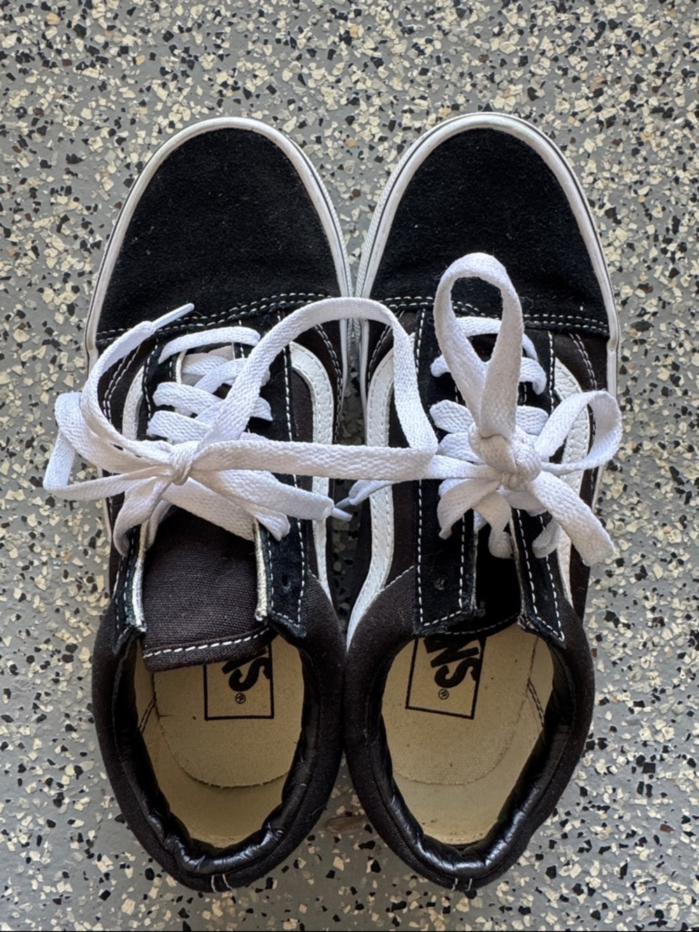 Vans Black and White Low-Top Skate Sneakers